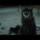Pet Sematary 2019